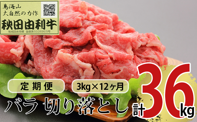 【秋田県にかほ市】《定期便》12ヶ月連続 秋田由利牛 バラ切り落とし 3kg(1kg×3パック)