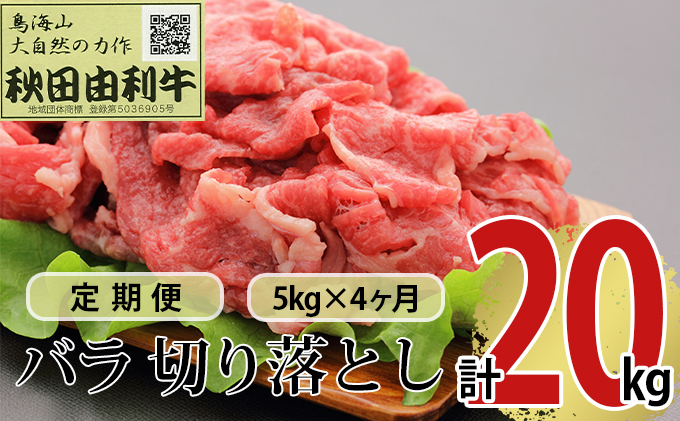 【秋田県にかほ市】《定期便》4ヶ月連続 秋田由利牛 バラ切り落とし 5kg(1kg×5パック)