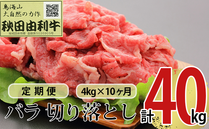 【秋田県にかほ市】《定期便》10ヶ月連続 秋田由利牛 バラ切り落とし 4kg(1kg×4パック)