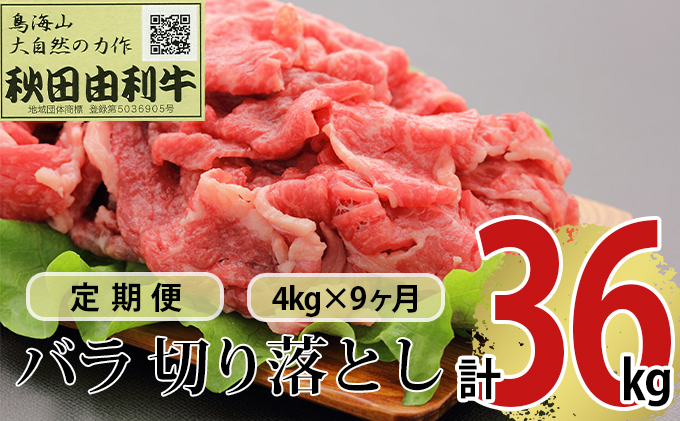 【秋田県にかほ市】《定期便》9ヶ月連続 秋田由利牛 バラ切り落とし 4kg(1kg×4パック)