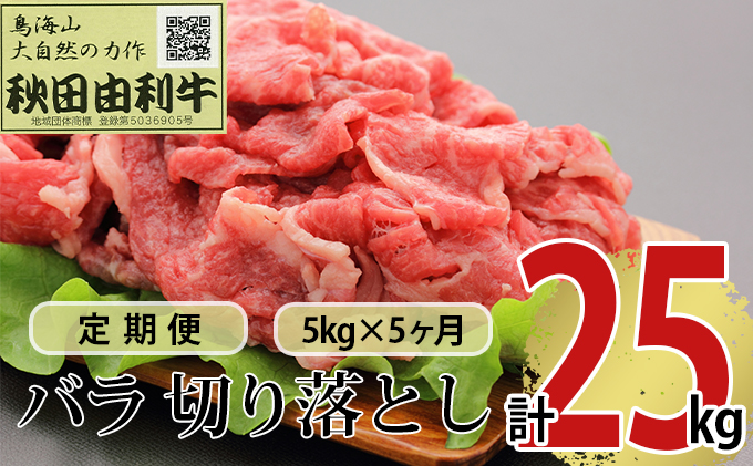 【秋田県にかほ市】《定期便》5ヶ月連続 秋田由利牛 バラ切り落とし 5kg(1kg×5パック)