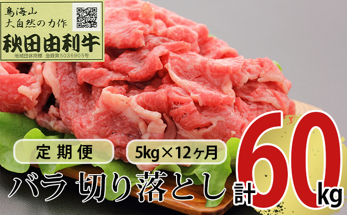 【秋田県にかほ市】《定期便》12ヶ月連続 秋田由利牛 バラ切り落とし 5kg(1kg×5パック)