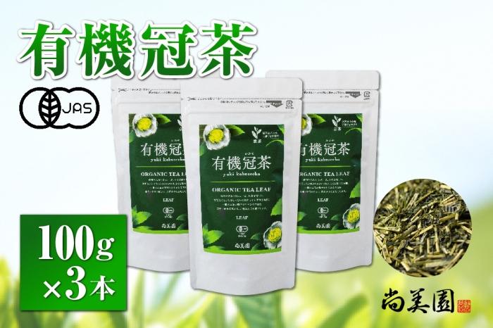 SOU・SOUすずしろ茶器セット〈お茶 茶 煎茶 緑茶 茶葉 宇治抹茶
