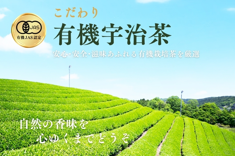 宇治・有機煎茶ティーバッグ　4g×40個×2缶　〈有機 オーガニック 無農薬 お茶 茶 煎茶 緑茶 有機煎茶 飲料 茶葉 日本茶 宇治茶 加工食品〉