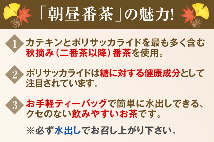 宇治・水出し朝昼番茶ティーバッグ 10ｇ×20袋入×6本　クールサーバー付　〈お茶 茶 煎茶 緑茶 番茶 秋摘み カテキン 水出し ティーバッグ ティーパック クールサーバー 飲料 健康 加工食品〉 