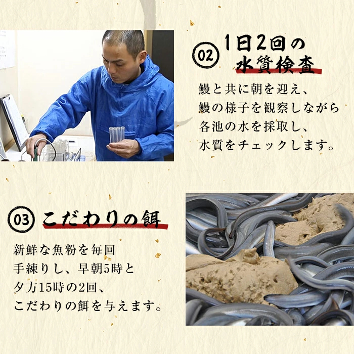 鹿児島県志布志市のふるさと納税 【お礼の品人気No1】霧島湧水鰻の蒲焼き 140g以上×5尾＜計700g以上＞ b2-048