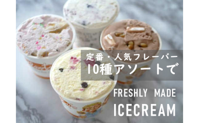 【湘南茅ヶ崎の人気店】 プレンティーズのアイスクリーム（バラエティセット10個） お菓子 スイーツ ひんやり デザート 夏 おしゃれ かわいい 食べ比べ