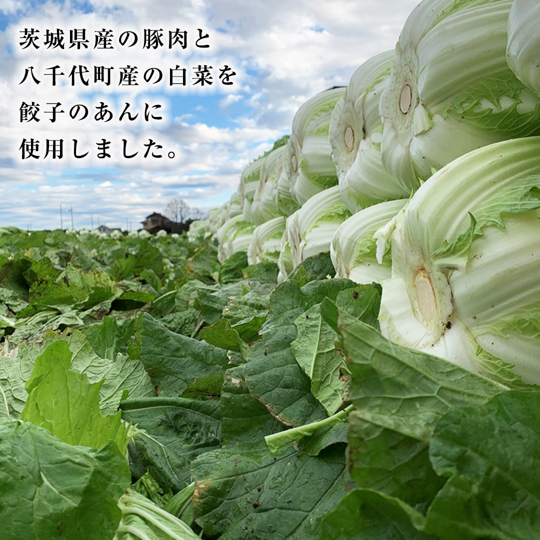 茨城県八千代町のふるさと納税 【生産量日本一！】総重量3750g！ 八千代町の白菜を使った ジューシー白菜餃子 150個（冷凍） ぎょうざ 冷凍餃子 惣菜 中華 点心 お取り寄せ ギョーザ ギョウザ 小分け おつまみ [BN004ya]