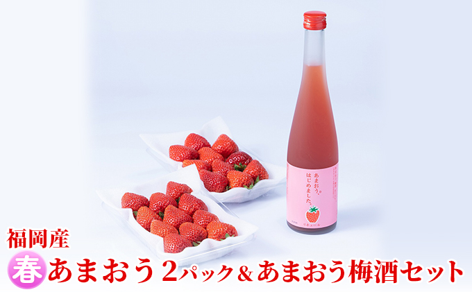 いちご あまおう 2パック 春 ＆あまおう梅酒 あまおうはじめました。 500ml×1本セット 配送不可 離島 お酒 アルコール 苺 フルーツ 飲み会 甘いお酒 宅飲み 果物 詰め合わせ 