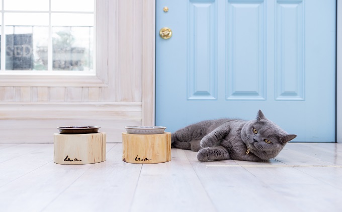 ペットフードボウル 国産桧の間伐材 小石原焼 お届け：在庫が無い場合は、12ヶ月お待ちいただく場合もあります 食べやすいサイズを研究 雑貨 ペット用品 グッズ 犬用 猫用 