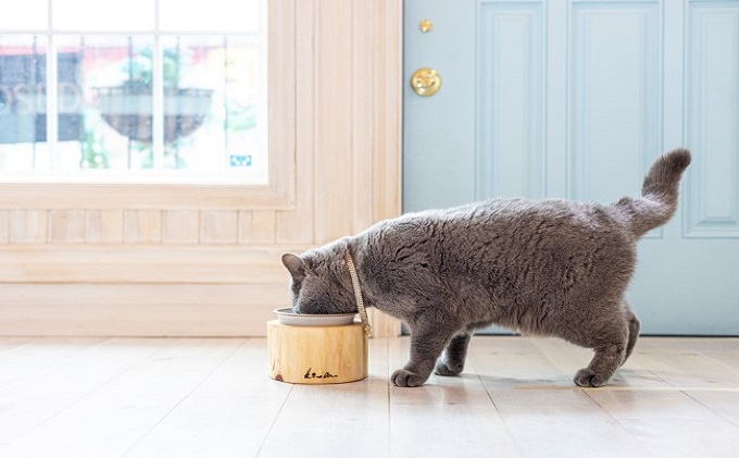 ペットフードボウル 国産桧の間伐材 小石原焼 お届け：在庫が無い場合は、12ヶ月お待ちいただく場合もあります 食べやすいサイズを研究 雑貨 ペット用品 グッズ 犬用 猫用 