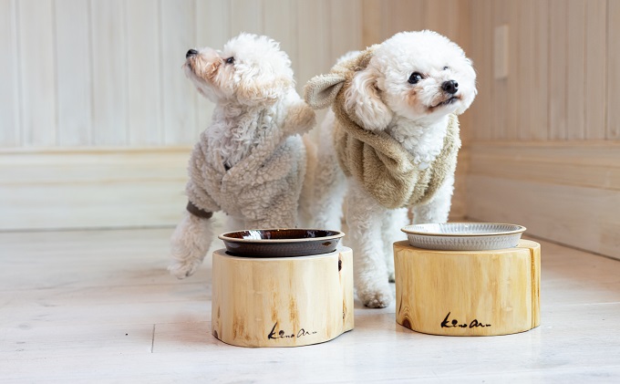 ペットフードボウル 国産桧の間伐材 小石原焼 お届け：在庫が無い場合は、12ヶ月お待ちいただく場合もあります 食べやすいサイズを研究 雑貨 ペット用品 グッズ 犬用 猫用 