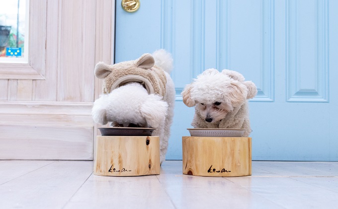 ペットフードボウル 国産桧の間伐材 小石原焼 お届け：在庫が無い場合は、12ヶ月お待ちいただく場合もあります 食べやすいサイズを研究 雑貨 ペット用品 グッズ 犬用 猫用 