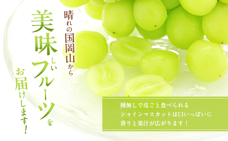 ぶどう 2026年 先行予約 ご家庭用 シャインマスカット 2～3房 約1.2kg ブドウ 葡萄  岡山県産 国産 フルーツ 果物 直送！せとうちバスケット 種なし 大粒 産地直送 デザート 
