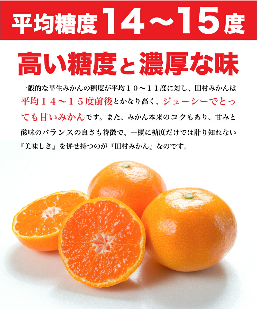 和歌山県湯浅町のふるさと納税 U6239n_「高級 田村みかん」 青秀 約3kg Mサイズ 和歌山県有田産 有田みかん