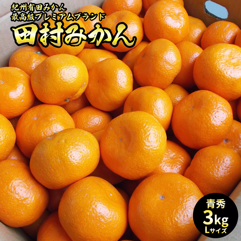 【和歌山県有田郡湯浅町】U6240n_「高級 田村みかん」 青秀 約3kg Lサイズ 和歌山県有田産 有田みかん