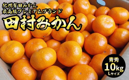 U6246_「高級 田村みかん」 青秀 約10kg Lサイズ 和歌山県有田産 有田みかん