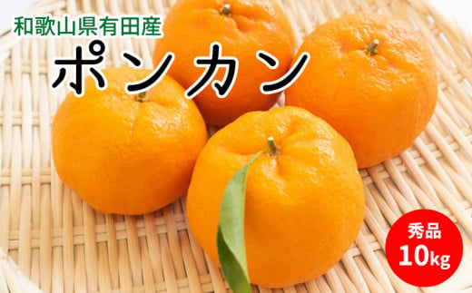 【和歌山県有田郡湯浅町】U6227n_【2026年先行予約】ポンカン 秀品 約10kg 和歌山県有田産