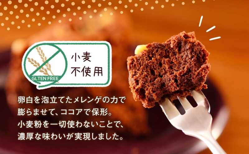 北海道 ガトーショコラ くるみ ホール 15cm×1個 5号 ショコラ 洋菓子 焼き菓子 おやつ デザート 誕生日 記念日 グルテンフリー 冷凍 お菓子のふじい ニセコ 送料無料 北海道 倶知安町 スイーツ 食後 ティータイム ナッツ ホールケーキ 5号サイズ 