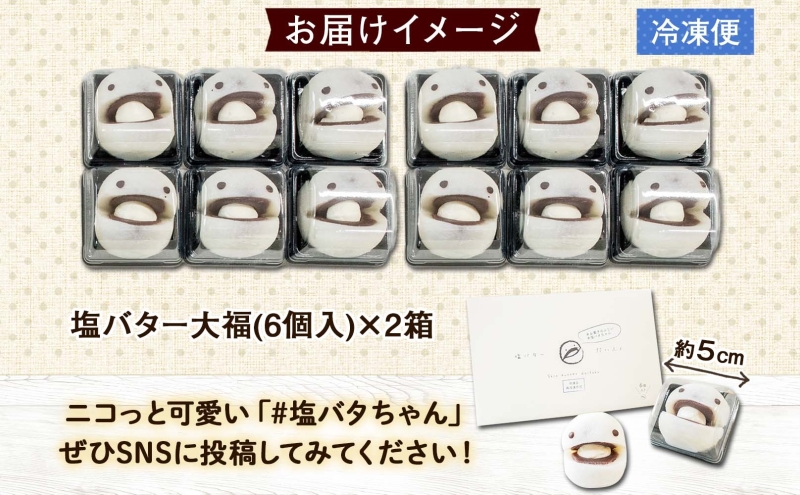 【2024年4月から順次出荷】 北海道 塩バター 大福 6個入り×2箱 12個 個包装 小分け 塩バタちゃん こしあん 和菓子 もち 餅 小麦不使用 ギフト プレゼント 冷凍 お菓子のふじい ニセコ スイーツ 