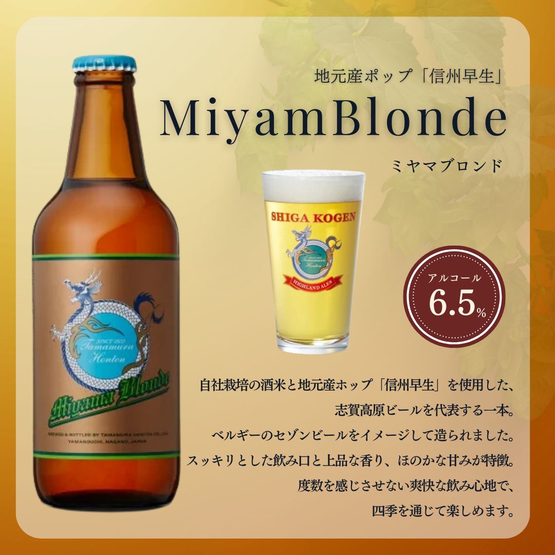 定期便 6ヶ月 志賀高原ビール6本セット ※WEB申込限定※ 【 クラフトビール 志賀高原ビール 飲み比べセット 玉村本店 ビール 詰め合わせ セット 地ビール 飲み比べ 黒ビール ipa 酒 お酒 長野 定期 お楽しみ 6回 】 
