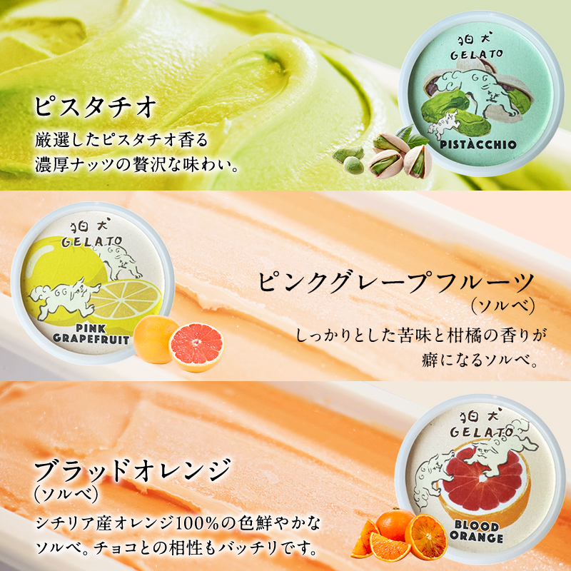 アイス 狛犬 ジェラート 12種類12個 食べ比べ セット 定番9種季節限定3種 ソルベ ジェラート 詰め合わせ ミルク いちご 抹茶 チョコレート チョコ ラムネ ドルチェラテ ピスタチオ グレープフルーツ ブラッドオレンジ ギフト 