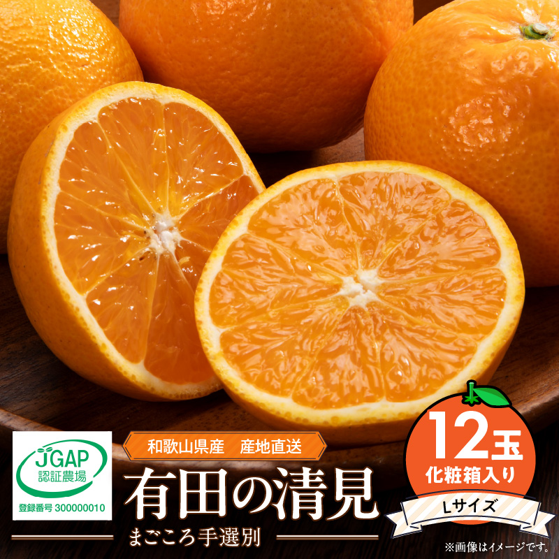 ZE6118n_【2026年先行予約】和歌山県産 有田の 清見 化粧箱入り Lサイズ 12個入り（まごころ手選別）