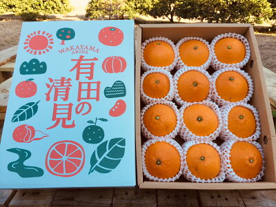 ZE6118n_【2026年先行予約】和歌山県産 有田の 清見 化粧箱入り Lサイズ 12個入り（まごころ手選別）