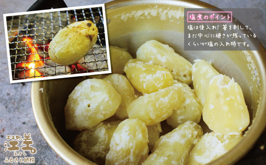 北海道江差町のふるさと納税 【お申込み順に出荷中】砂質土育ち「夏」メークイン M・L混合5kg　露地もの　手掘り　江差産メークイン　北海道のじゃがいも　芋の塩煮　肉じゃが　カレー　シチュー　コロッケ　色々なお料理に　北海道産