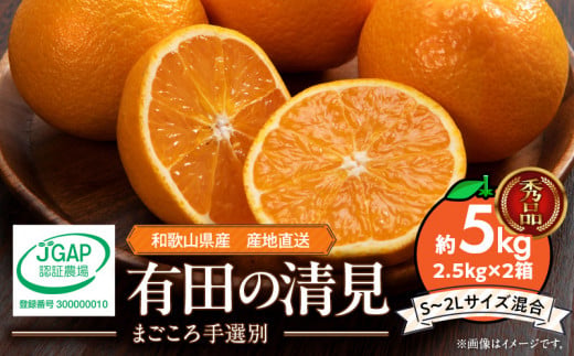 ya̎RLcS󒬁zZE6120n_y2026Ns\za̎RY Lc  5kg (2.5kg×2) (S`2LTCY)i܂Iʁj