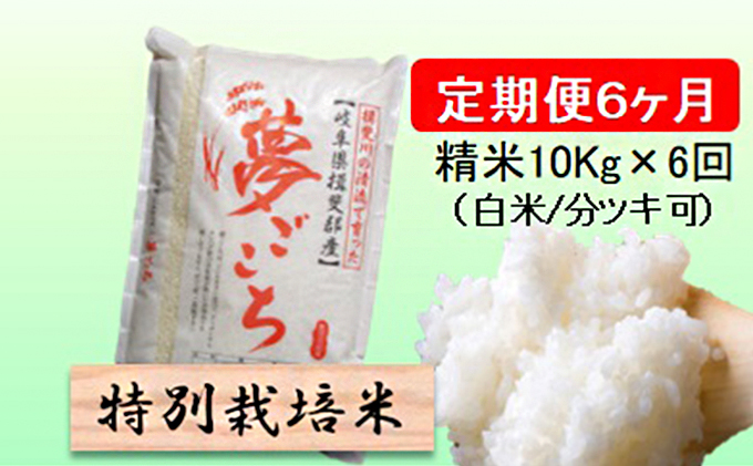 特別栽培米★[定期便] 6カ月★毎月 精米10kg（白米/7分/5分ツキ可）【夢ごこち】　玄米は別に出品 お米 令和7年産 低アミロース モチモチ お弁当 おにぎり 安心 安全 美味しい 糖質 