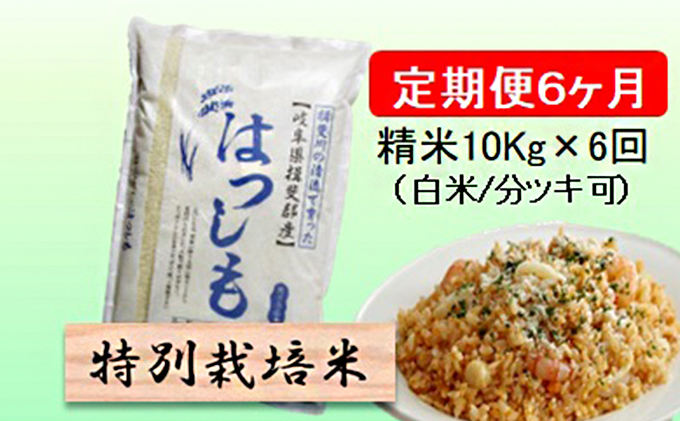 特別栽培米★[定期便] 6カ月★毎月 精米10kg（白米/7分/5分ツキ可）【ハツシモ】　玄米は別に出品 お米 令和7年産 幻のお米 大粒 アッサリ お寿司 丼物 炒め物 安心 安全 美味しい 