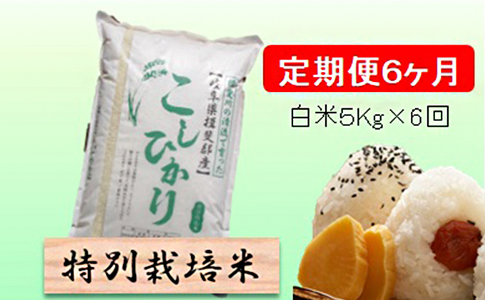 特別栽培米★[定期便] 6カ月★毎月 白米５kg 【コシヒカリ】 お米 令和7年産 王様 モチモチ 艶 食感 バランス 安心 安全 美味しい 