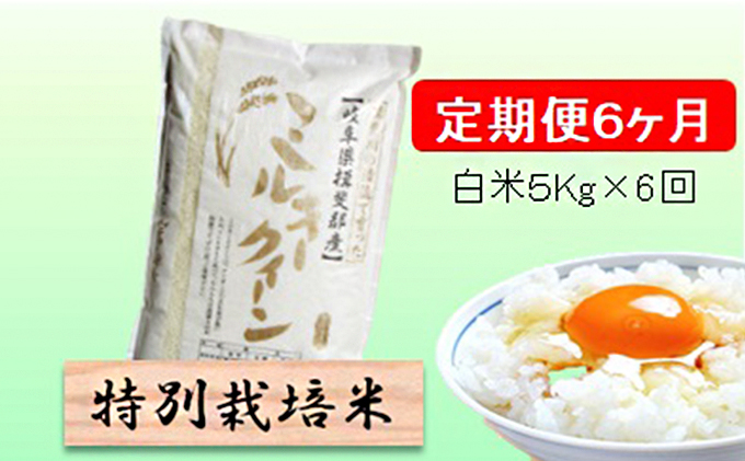 特別栽培米★[定期便] 6カ月★毎月 白米５kg 【ミルキークイーン】 お米 令和7年産 低アミロース モチモチ お弁当 おにぎり 安心 安全 美味しい 糖質 