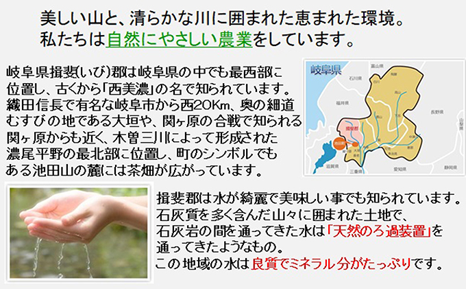 特別栽培米★[定期便] 6カ月★毎月 白米５kg 【コシヒカリ】 お米 令和7年産 王様 モチモチ 艶 食感 バランス 安心 安全 美味しい 