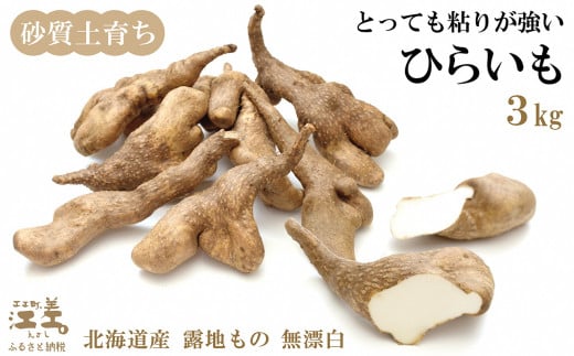 北海道江差町のふるさと納税 【早期予約 10月より順次出荷予定】北海道産 ひらいも  3kg　砂質土育ち とっても粘りが強い 北海道の山芋　もちもち食感　露地もの　無漂白　ねばり芋　やまと芋　長芋　自然薯　山かけ　とろろ　いももち　豚汁
