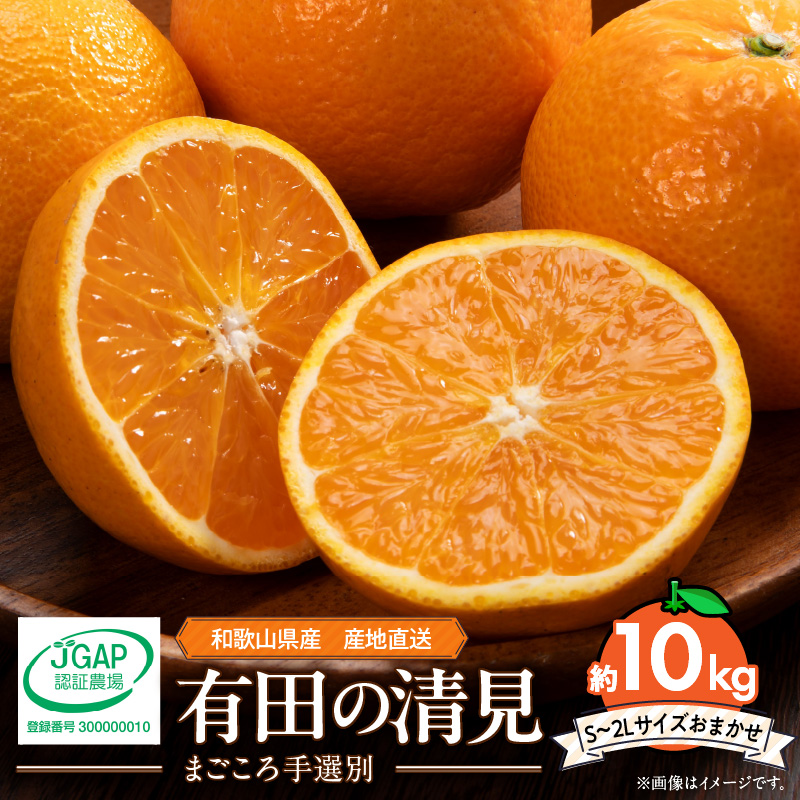 ZE6366n_【2026年先行予約】和歌山県産 有田の 清見 10kg (S～2Lサイズ)【サイズおまかせ】【まごころ手選別】