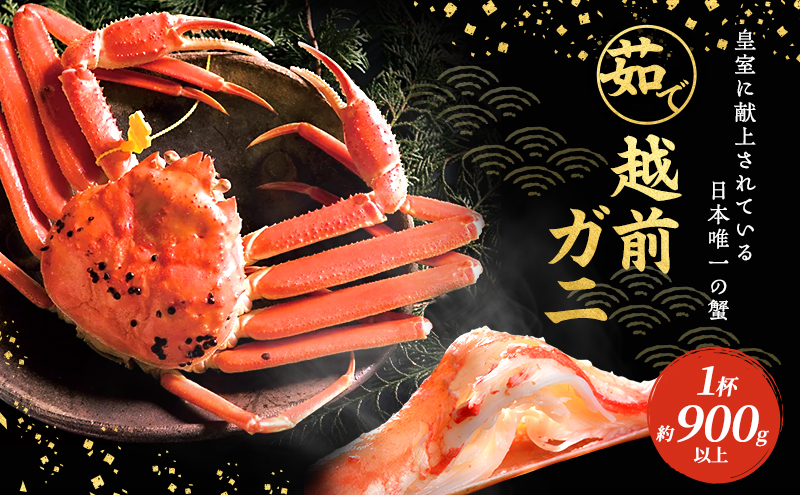 【福井県若狭町】期間限定 茹で 越前ガニ 約900g以上 1杯  食通もうなる本場の味をぜひご堪能ください 茹でガニ 越前蟹 ズワイガニ カニ 蟹 海鮮 福井県 若狭町