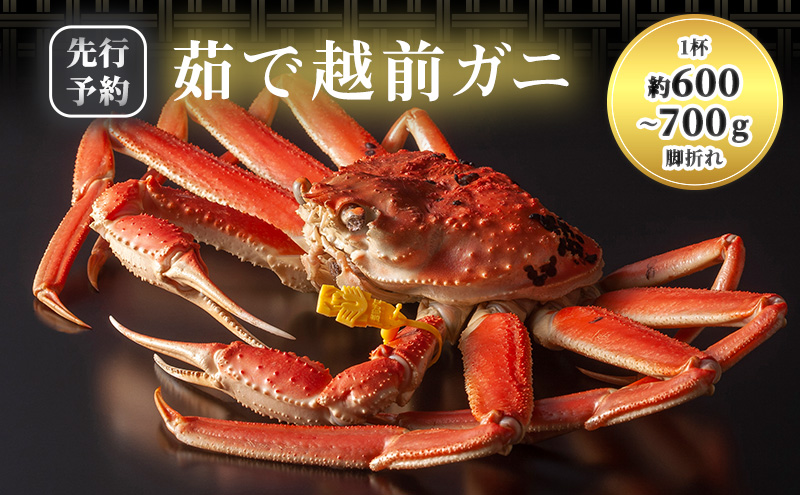 y䌧ዷz󂠂 Ԍ 䥂 zOKj 600g`700g 1t  r܂ 䥂ŃKj zOJj zOI YCKj  I CN  䌧 ዷ