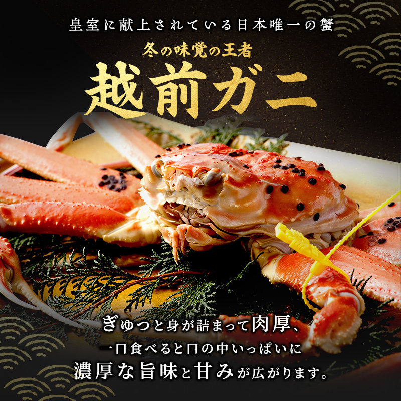 期間限定 茹で 越前ガニ 約600g以上 1杯  食通もうなる本場の味をぜひご堪能ください 越前カニ ズワイガニ カニ 蟹 海鮮 福井県 若狭町