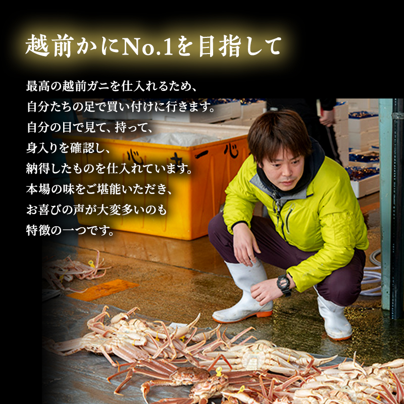 訳あり 期間限定 茹で 越前ガニ 約600g～700g未満 1杯  脚折れ 茹でガニ 越前カニ 越前蟹 ズワイガニ かに 蟹 海鮮 福井 福井県 若狭町