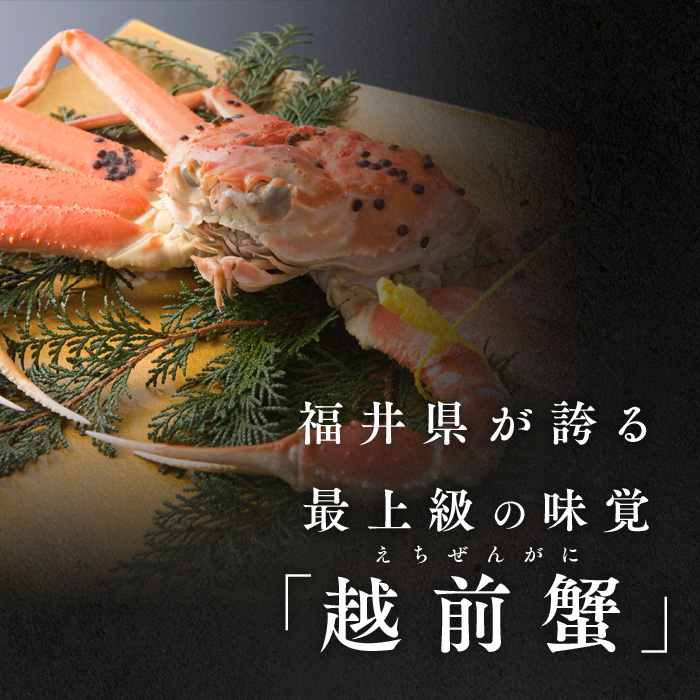 期間限定 茹で 越前ガニ 約1kg以上 2杯  食通もうなる本場の味をぜひご堪能ください 茹でガニ ズワイガニ カニ 蟹 海鮮 福井県 若狭町
