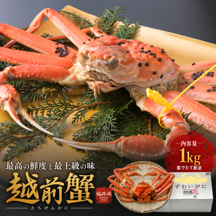 【福井県若狭町】期間限定 茹で 越前ガニ 約1kg 1杯  茹でガニ 越前カニ 越前蟹 ズワイガニ ずわい蟹 カニ かに 蟹 ボイルカニ ボイル蟹 ポーション 魚介 魚介類 海鮮 限定 福井 福井県 若狭町