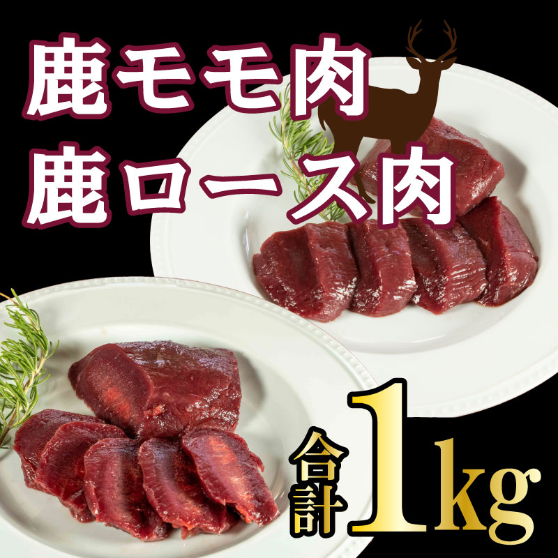 愛南ジビエ 鹿 モモ肉 500g ロース肉 500g セット