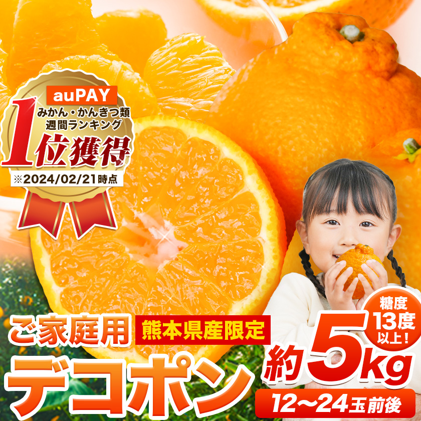 先行予約 訳あり デコポン デコポン約5kg前後(約12-24玉前後)[2月上旬-4月末頃出荷]訳あり 不知火 熊本県産 熊本県 長洲町 糖度13度以上