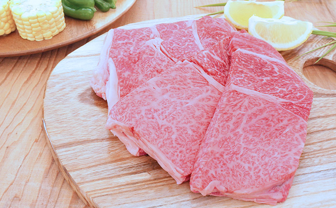 【飛騨牛】海津市産ロース焼肉オリジナルカット 【配達不可：離島】 お肉 牛肉 焼肉用 バーベキュー ロース肉 ブランド牛 国産 岐阜県産 柔らかい肉質 サシ 霜降り とろける 