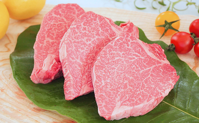 【数量限定】【飛騨牛】海津市産シャトーブリアンステーキ150g×3 【配達不可：離島】 お肉 牛肉 ステーキ用 国産 岐阜県産 ブランド牛 夕飯 記念日 ディナー 希少部位 贅沢 赤身 なめらか とろける 柔らかい 濃厚 旨味 