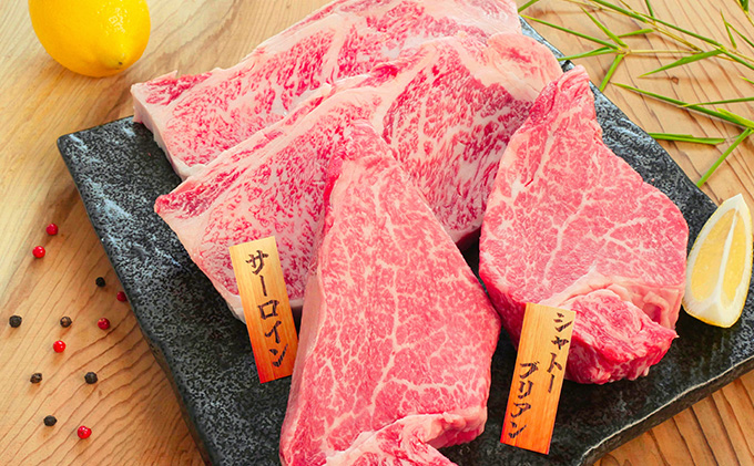 【数量限定】【飛騨牛】海津市産ステーキプレミアムセット 【配達不可：離島】 お肉 牛肉 ステーキ用 国産 岐阜県産 ブランド牛 夕飯 記念日 ディナー 希少部位 赤身 とろける 柔らかい サシ 霜降り ボリューミー 