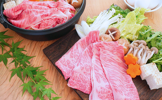 【飛騨牛】海津市産ロースしゃぶしゃぶすき焼き用スライス 【配達不可：離島】 お肉 牛肉 国産 岐阜県産 ブランド牛 柔らかい サシ 霜降り とろける 甘い脂 旨味 肉じゃが 炒め物 