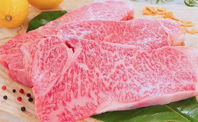 【飛騨牛】海津市産ロースステーキ250g×3 【配達不可：離島】 お肉 牛肉 ステーキ用 国産 岐阜県産 ブランド牛 夕飯 記念日 ディナー 柔らかい サシ 霜降り ボリューミー とろける 旨味 